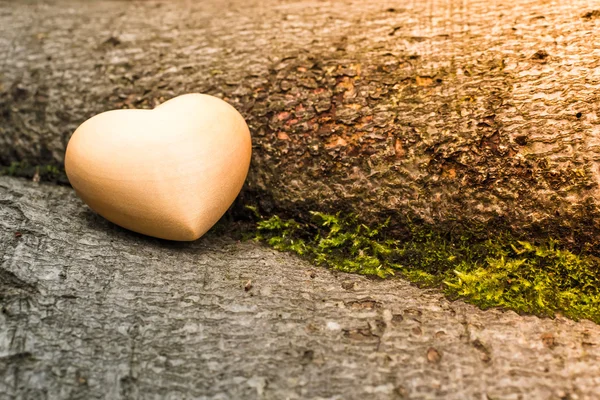 Heart in nature II — Stock Photo, Image