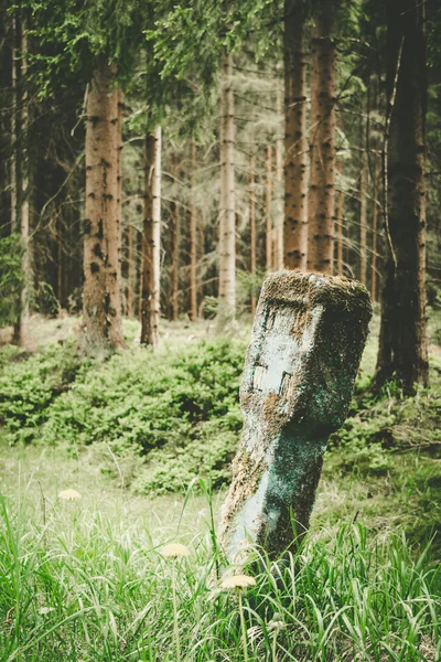 Viejo punto de referencia en el bosque — Foto de Stock