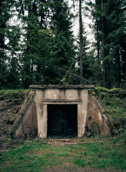 Wejście w bunkrze w lesie — Zdjęcie stockowe