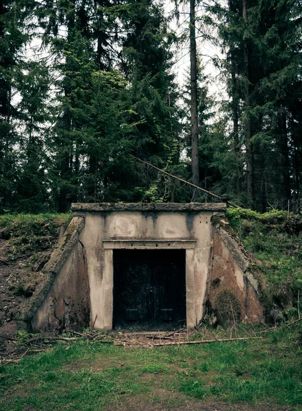 Entrada de búnker en un bosque — Foto de Stock