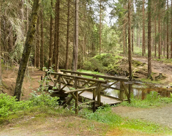 Ξύλινη γέφυρα στο δάσος ΙΙ — Φωτογραφία Αρχείου