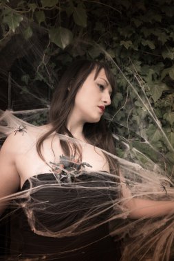 Örümcek Kraliçe II