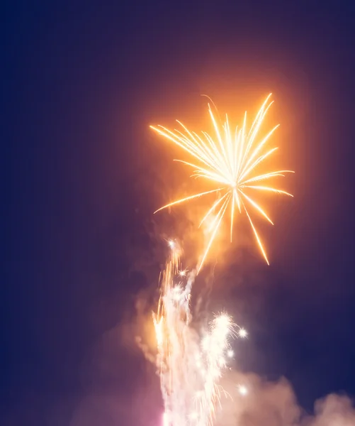 Fuegos artificiales por la noche —  Fotos de Stock