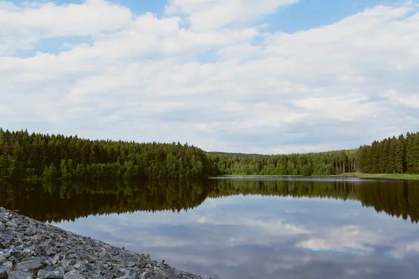 Skogstjärn med blå himmel Ii — Stockfoto