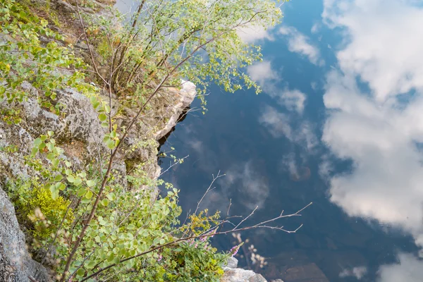 Sur la falaise — Photo