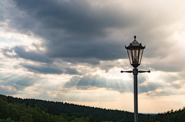 Lampada stradale in natura — Foto Stock