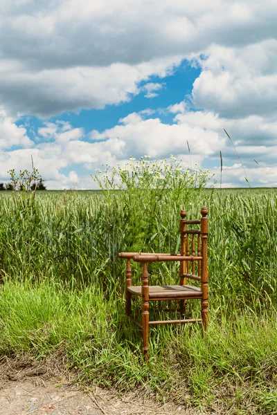 Chair in nature II — Stock Photo, Image