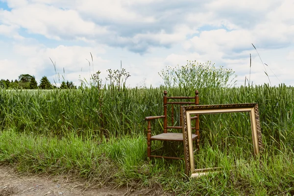 Chair with picture frame in nature IV — Stock Photo, Image