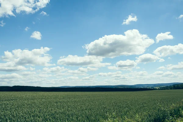 Bewölkter Himmel über einem Feld — Stockfoto