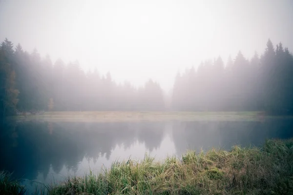 Lago del bosque en la niebla de la mañana — Foto de Stock