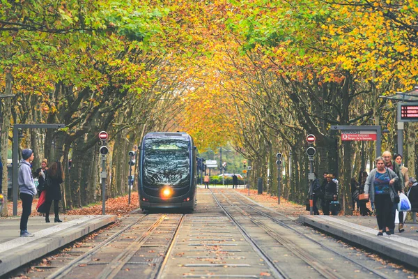 Bordeaux France Жовтня 2020 Трамвай Проходить Повз Place Des Quinconces Стокове Фото