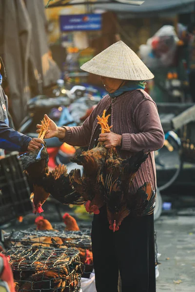 Hoi Vietnam Febrero 2018 Vieja Vietnamita Cargando Pollo Para Ser — Foto de Stock