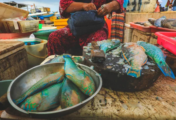 Selective focus on fresh parrot fish at seafood market, Pasar Ikan Kedonganan, Bali, Indonesia