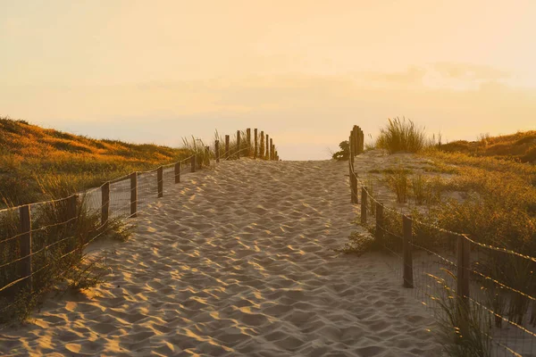 Sentiero Pedonale Legno Fino Alla Spiaggia Sabbiosa Tramonto — Foto Stock