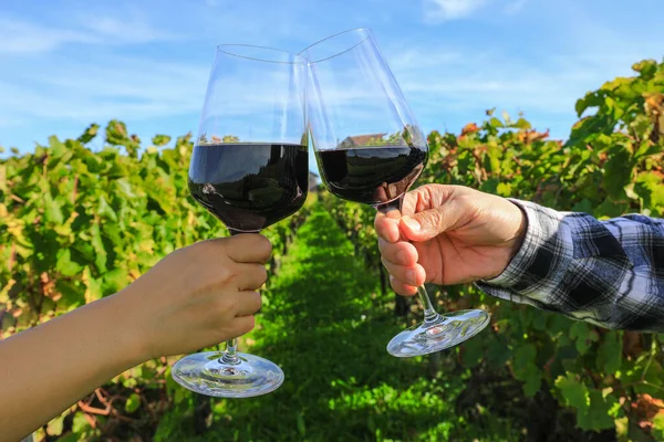 Close Hands Toasting Red Wine Glasses Vineyard — Stock Photo, Image