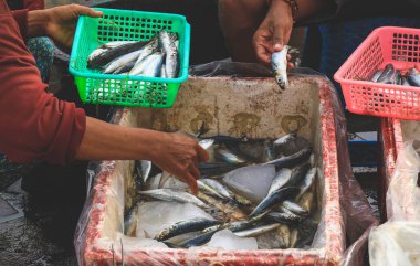Kedonganan 'daki sabah pazarında yeşil sepette satılan küçük sardalya balıklarına odaklan - Yolcu Ikan, Jimbaran plajı