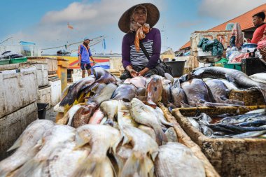 Bali, Endonezya - 8 Ağustos 2017: Bali balık satıcısı balık Kedonganan - Passer Ikan, Jimbaran plaj sabah pazarda satıyor