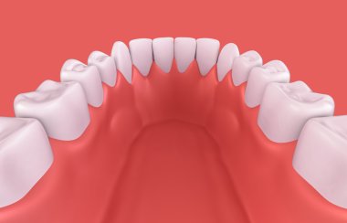 daha düşük dişeti ve diş 3D çizimi.