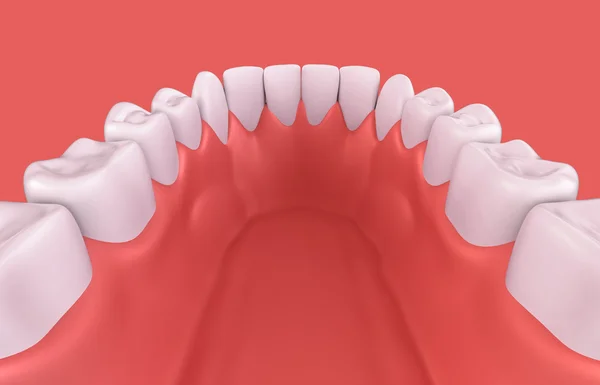 3D illustration of lower gum and teeth. — Stock Photo, Image