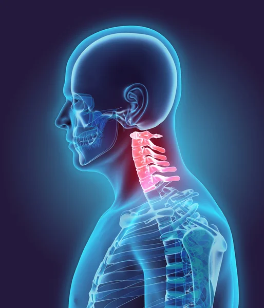 Ilustración 3D de la columna cervical, concepto médico . —  Fotos de Stock