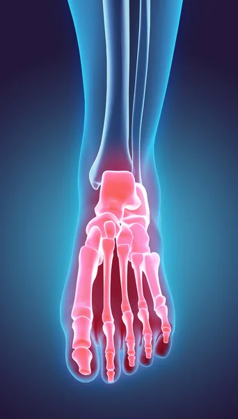 3D-s illusztráció láb csontváz, orvosi koncepció. — Stock Fotó