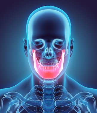 Mandibula, tıbbi kavramı 3D çizimi.