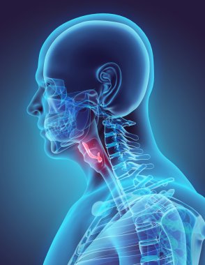 3D illustration of Epiglottis, medical concept. clipart