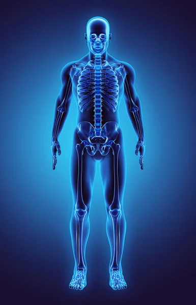 3D illustration del av mänskliga skelettet, medicinska begrepp. — Stockfoto