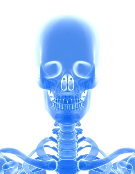 3D illustration of shiny blue skeleton system. — Stock Photo, Image