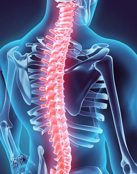 Ilustración 3D de la columna vertebral, concepto médico . — Foto de Stock