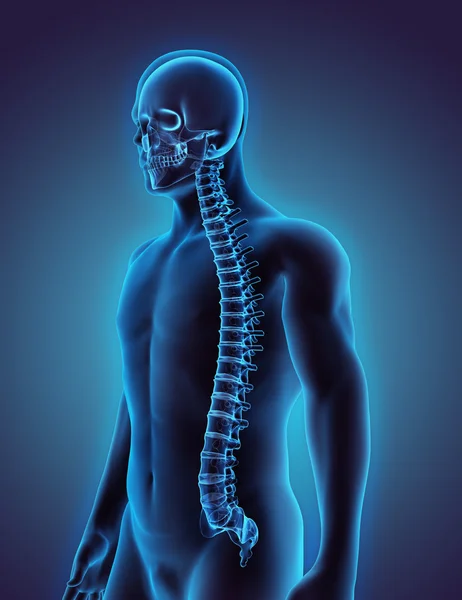 Ilustración 3D de la columna vertebral, concepto médico . — Foto de Stock