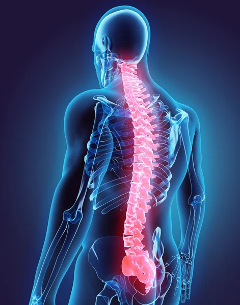 Ilustração 3D da coluna vertebral, conceito médico . — Fotografia de Stock