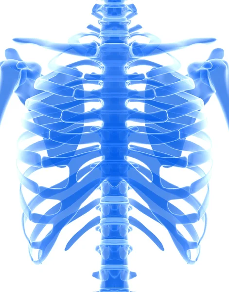 3D ilustracja błyszczący niebieski szkielet systemu. — Zdjęcie stockowe