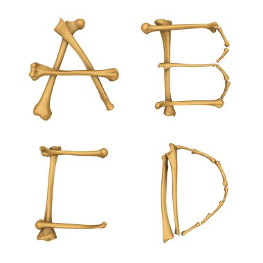 İskelet alfabesi A-D