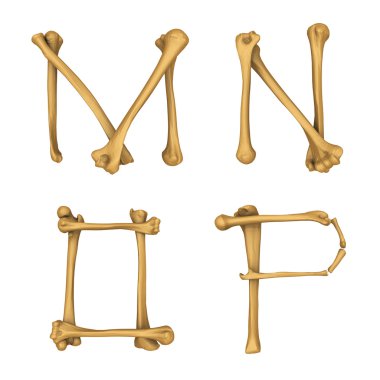 İskelet alfabe M-P