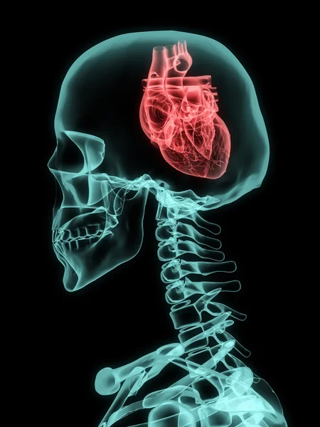 Radiografía de cráneo con corazón . — Foto de Stock