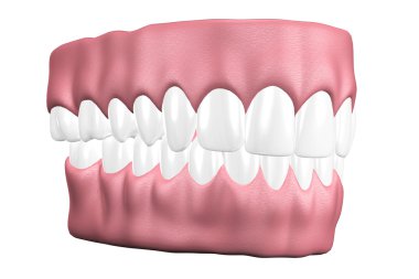 3D diş yakın çekim.
