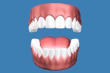 3D diş yakın çekim.