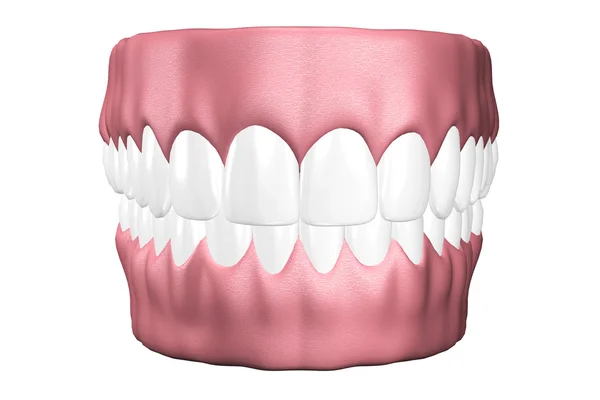 3D зуби крупним планом . — стокове фото