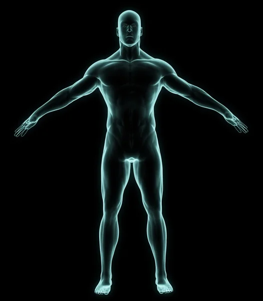 X-ışını insan tam vücut — Stok fotoğraf