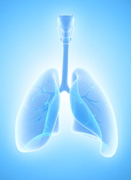 Ilustración 3d de los pulmones, concepto médico . — Foto de Stock