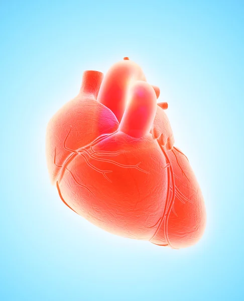 Ilustración 3D de Corazón, concepto médico . —  Fotos de Stock