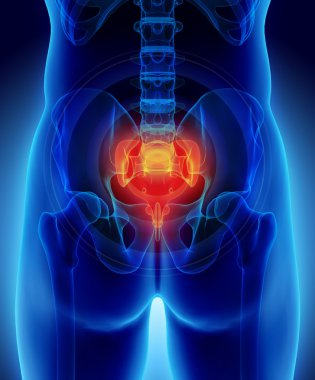 sakrum acı 3D çizimi.