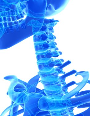 3D illustration of Cervical Spine, medical concept. clipart