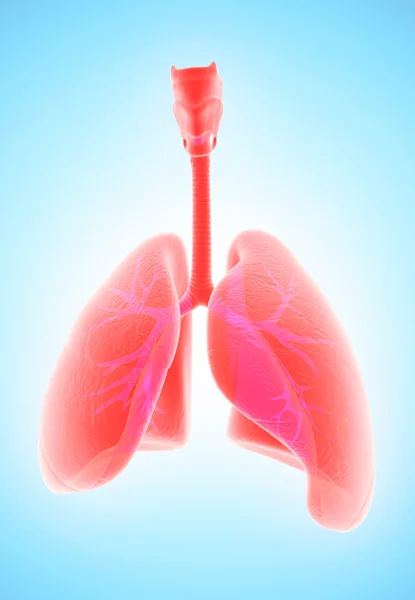 Ilustración 3d de los pulmones, concepto médico . —  Fotos de Stock