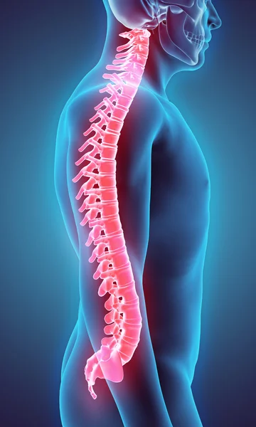 Ilustración 3D de la columna vertebral, concepto médico . — Foto de Stock