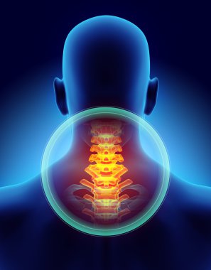 Neck painful - cervica spine skeleton x-ray, 3D illustration. clipart