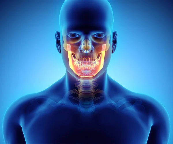 Ilustração 3D de Mandible, conceito médico . — Fotografia de Stock