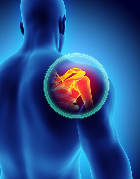 Рентген плеча, 3D иллюстрация
.