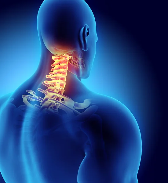 Ilustrație 3D a coloanei vertebrale cervicale, concept medical . — Fotografie, imagine de stoc